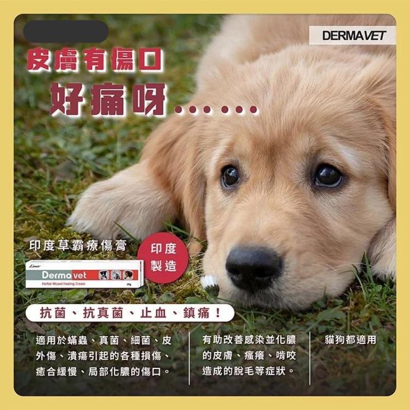 DermaVet 印度草霸療傷膏 20g (犬貓適用)