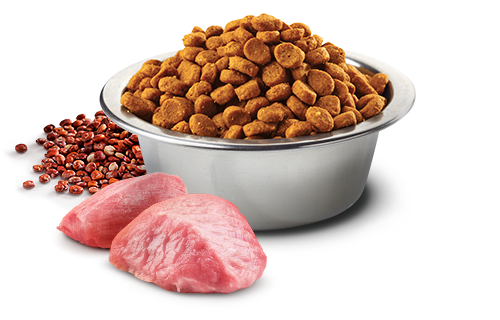 Farmina N&D Quinoa Functional Feline – Digestion Lamb 藜麥功能天然貓糧 – 羊肉 腸胃護理1.5kg
