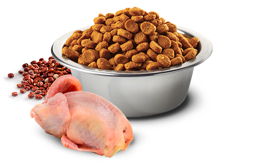 Farmina N&D Quinoa Functional Feline – SKIN & COAT QUAIL 藜麥功能天然貓糧 – 鵪鶉 皮膚護理