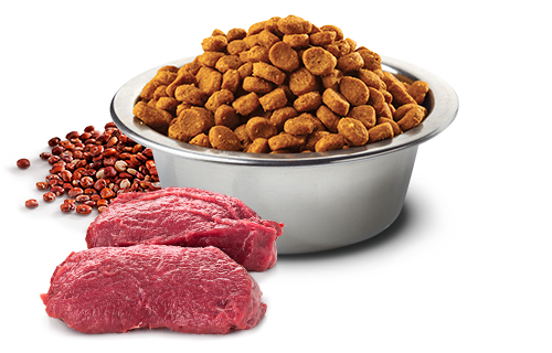 Farmina N&D Quinoa Functional Canine – Skin & Coat Vension 藜麥功能天然狗糧 – 鹿肉皮毛護理2.5kg