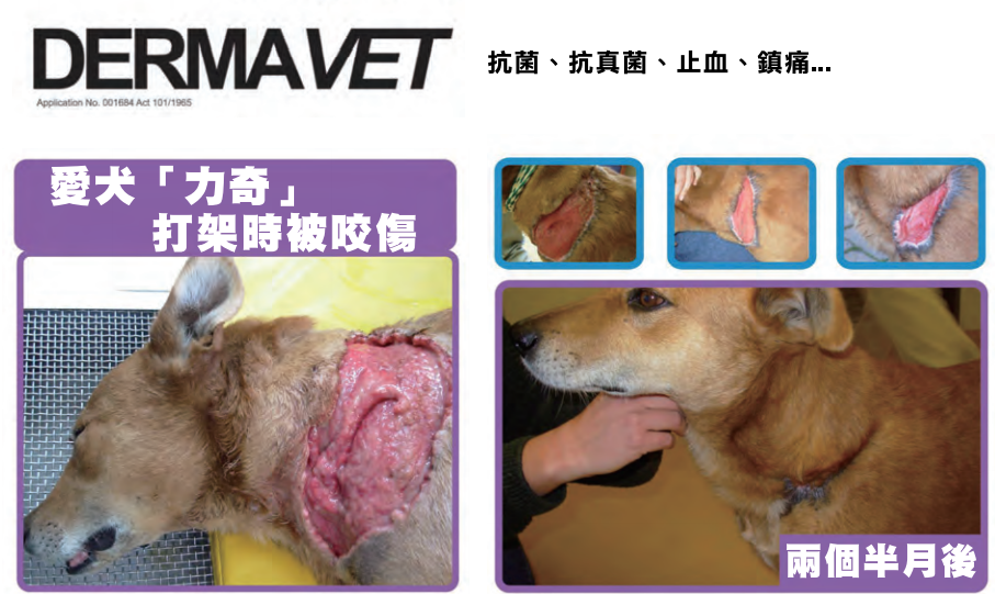 DermaVet 印度草霸療傷膏 20g (犬貓適用)
