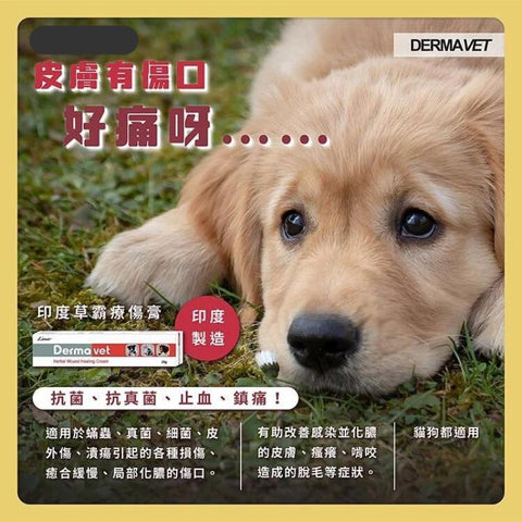 DermaVet 印度草霸療傷膏 20g （犬貓適用）