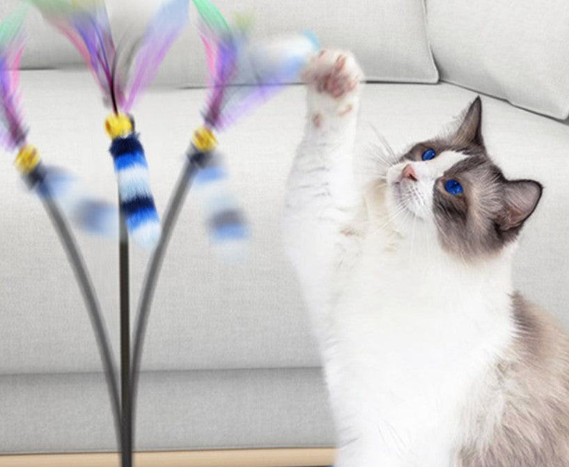 AMP301 彩羽逗貓棒（羽毛玩具）Cat Teaser Wand