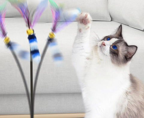 AMP301 彩羽逗貓棒（羽毛玩具）Cat Teaser Wand