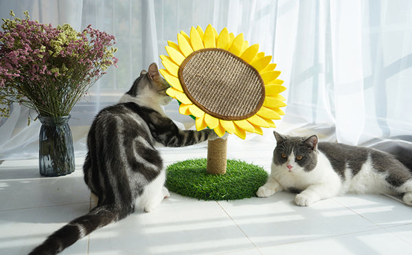 AMP302 向日葵爪抓柱