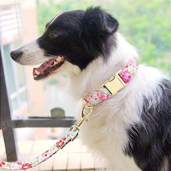 🎀客製狗圈-牽引繩套裝 花花布風 多尺碼 玫瑰金扣環(可刻名電話)(合25-60cm)