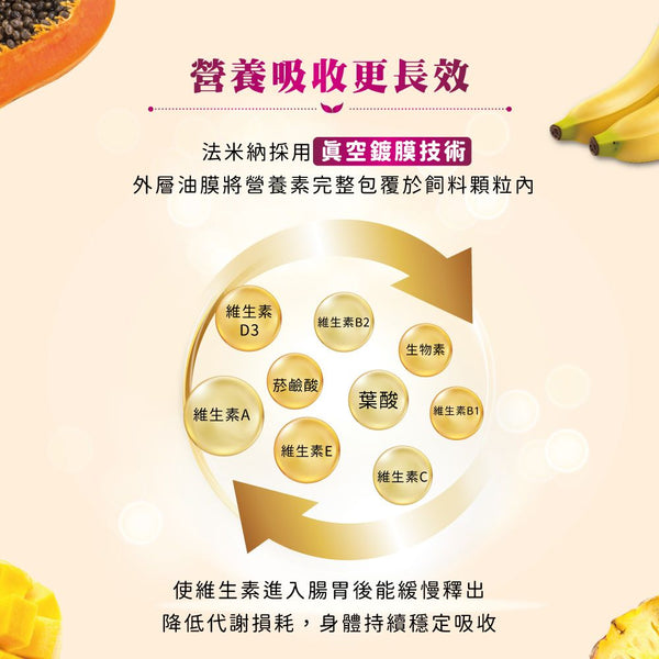 Farmina N&D Tropical 熱帶水果狗糧-Salmon三文魚