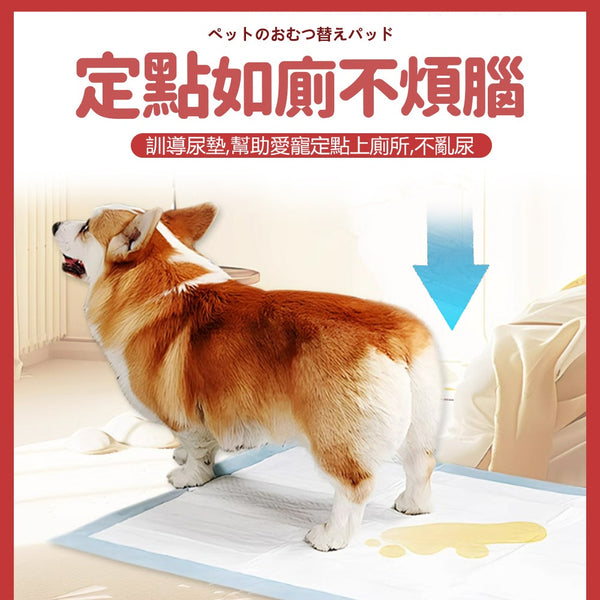 KOJIMA 寵物尿墊尿墊 S(80pcs)【加厚材質/瞬間乾爽】