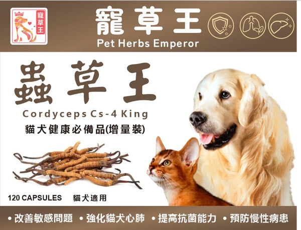 寵草王 -蟲草王 120粒增量裝膠囊 (貓狗適用)香港製造