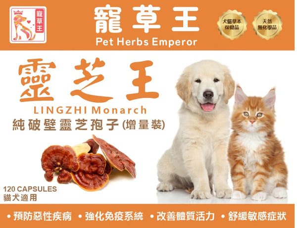 寵草王 -靈芝王 120粒增量裝膠囊 (貓狗適用)香港製造
