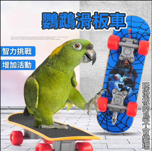 AMA010 中小型鸚鵡磨砂滑板車-款式隨發