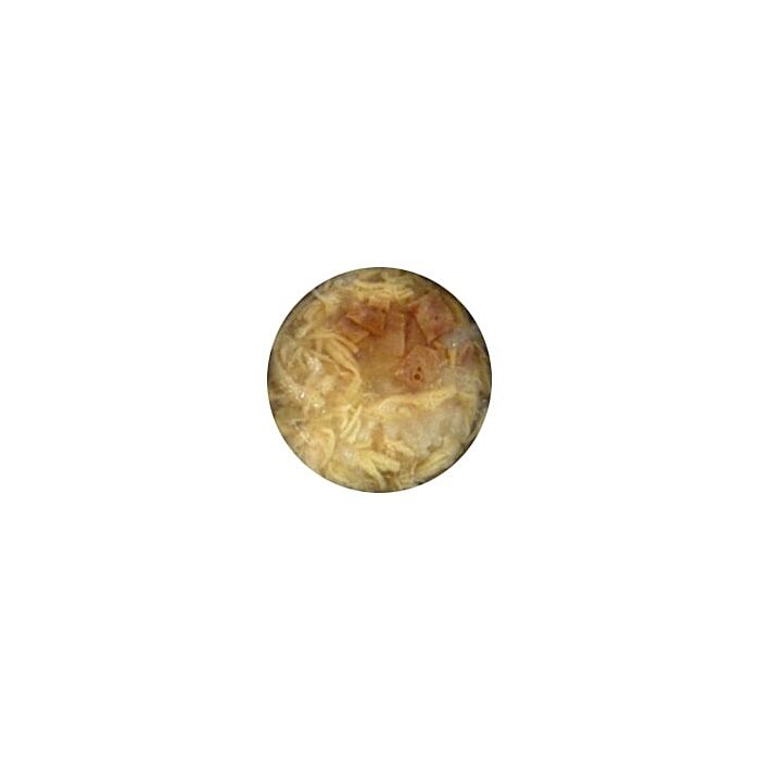 Monge Natural 真肉絲狗罐 – 雞肉火腿95gx24(原盒) (MO6941)