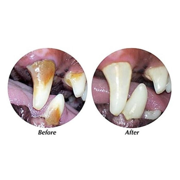 Tropiclean 貓咪專用天然清新口氣潔齒凝露2oz-TC1497