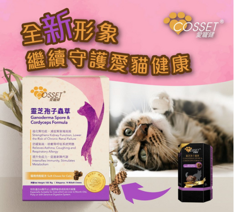 COSSET愛寵健靈芝孢子蟲草貓專用配方(滋味肉粒裝)