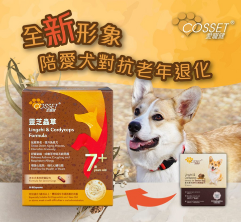 Cosset愛寵健靈芝蟲草老年犬專用配方(膠囊裝)