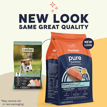 Canidae PURE GF Dog Salmon無穀三文魚成犬-4lb/12lb/24lb(缺貨)