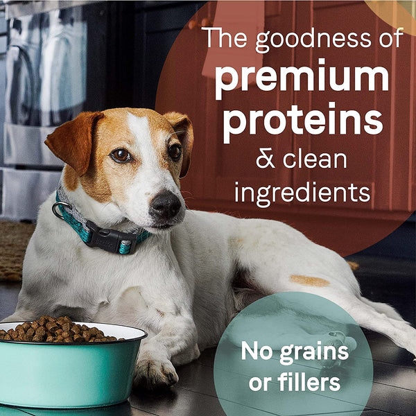 Canidae PURE GF Dog Lamb無穀羊肉成犬-4lb/12lb/24lb