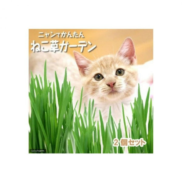 CattyMan 貓の生野菜 2份裝 (鮮貓草)