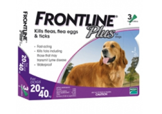 Frontline Plus - 殺蚤除牛蜱水 (大型犬) 原裝行貨(舊款隨發)