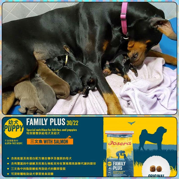 Josera德寵 FamilyPlus - 懷孕到初生BB 3kg/12.5kg