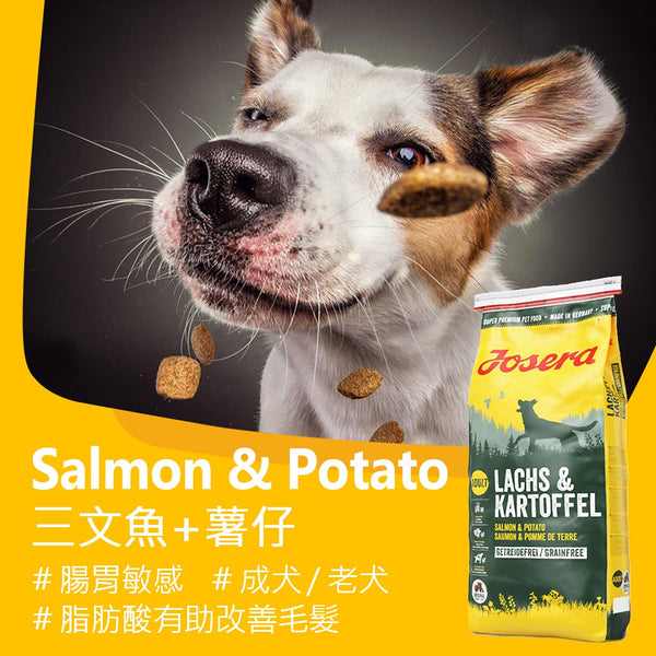 Josera德寵 Dog Salmon & Potato 三文魚+薯仔 無穀物 12.5kg