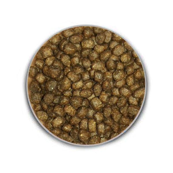 Belcando德至尊天然犬糧-Puppy Gravy幼犬|斷奶幼犬至4th,小型犬到12th