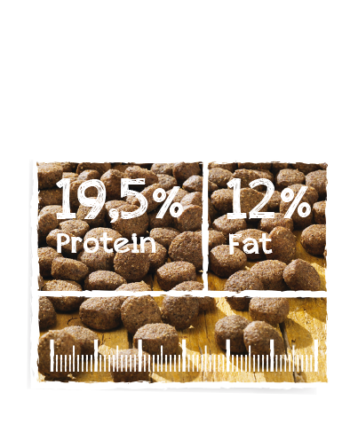 Belcando無穀老犬糧Senior｜關節護理專用配方