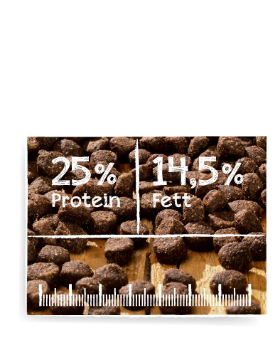 Belcando德至尊無穀犬糧-Finest GF Lamb羊肉(4kg / 12.5kg)｜易消化小顆粒配方